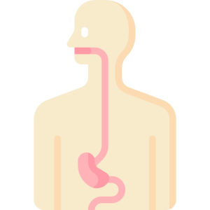 گوارش