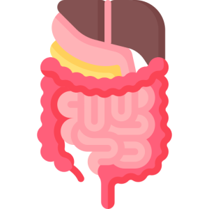 داخلی