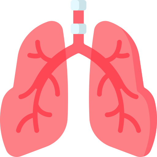بیماری‌های ریه و دستگاه تنفسی